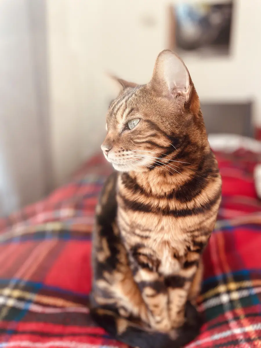 LocationRobot - Film Location Stadthaus LR2917 (photo 34)