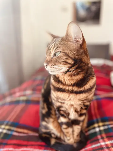 LocationRobot - Film Location Stadthaus LR2917 (photo 34)