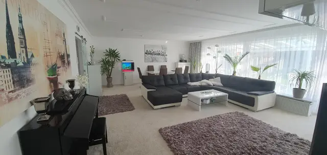 LocationRobot - Film Location Bungalow LR2920 (photo 11)