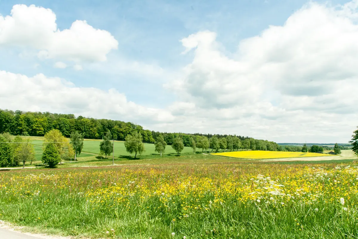 LocationRobot - Film Location Landhaus LR2934 (photo 21)