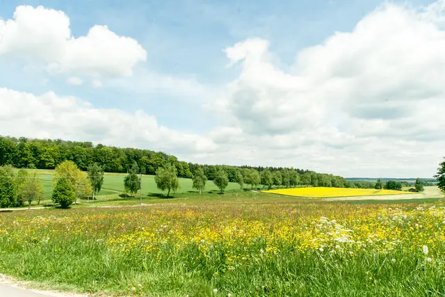 LocationRobot - Film Location Landhaus LR2934 (photo 21)