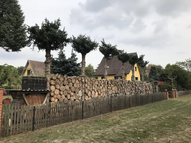 LocationRobot - Film Location Einfamilienhaus LR3049 (photo 17)