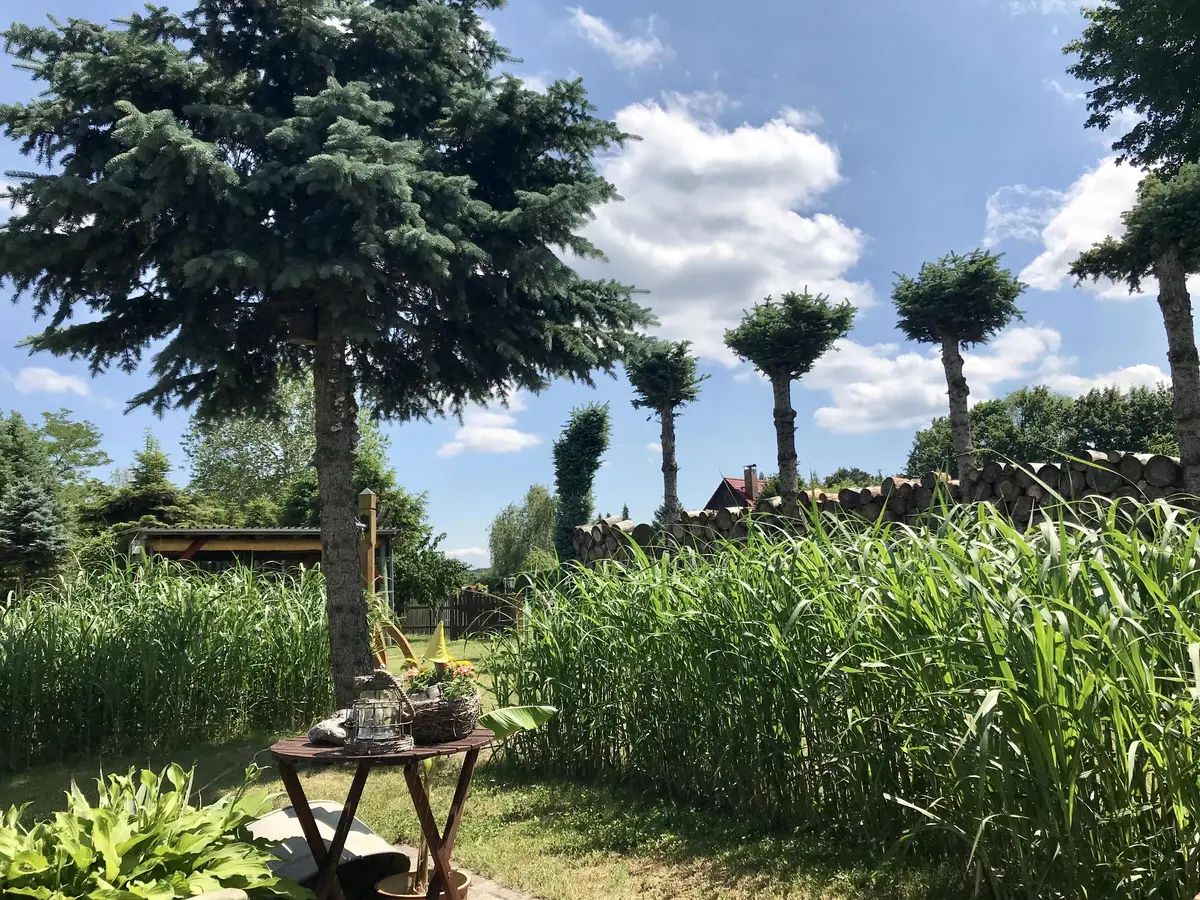 LocationRobot - Film Location Einfamilienhaus LR3049 (photo 10)