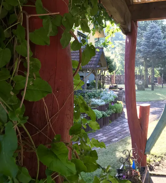 LocationRobot - Film Location Einfamilienhaus LR3049 (photo 13)