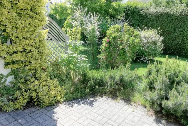 LocationRobot - Film Location Reihenhaus LR3079 (photo 4)