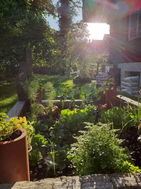 LocationRobot - Film Location Einfamilienhaus LR3080 (photo 41)