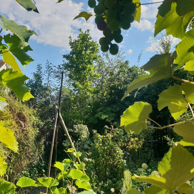 LocationRobot - Film Location Einfamilienhaus LR3080 (photo 72)