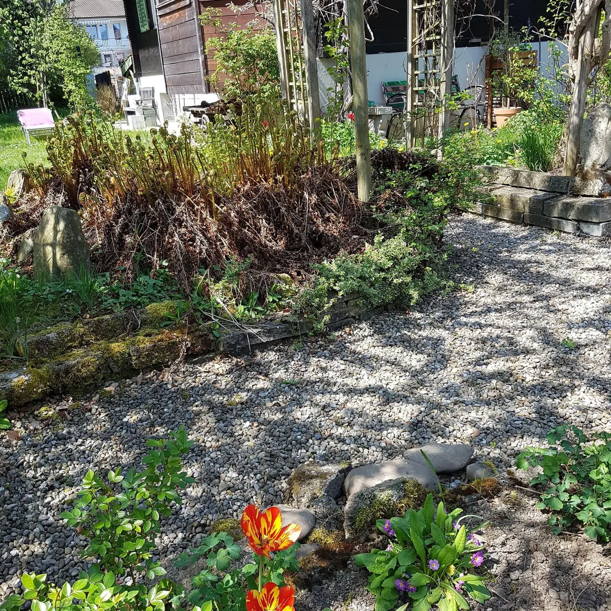 LocationRobot - Film Location Einfamilienhaus LR3080 (photo 58)