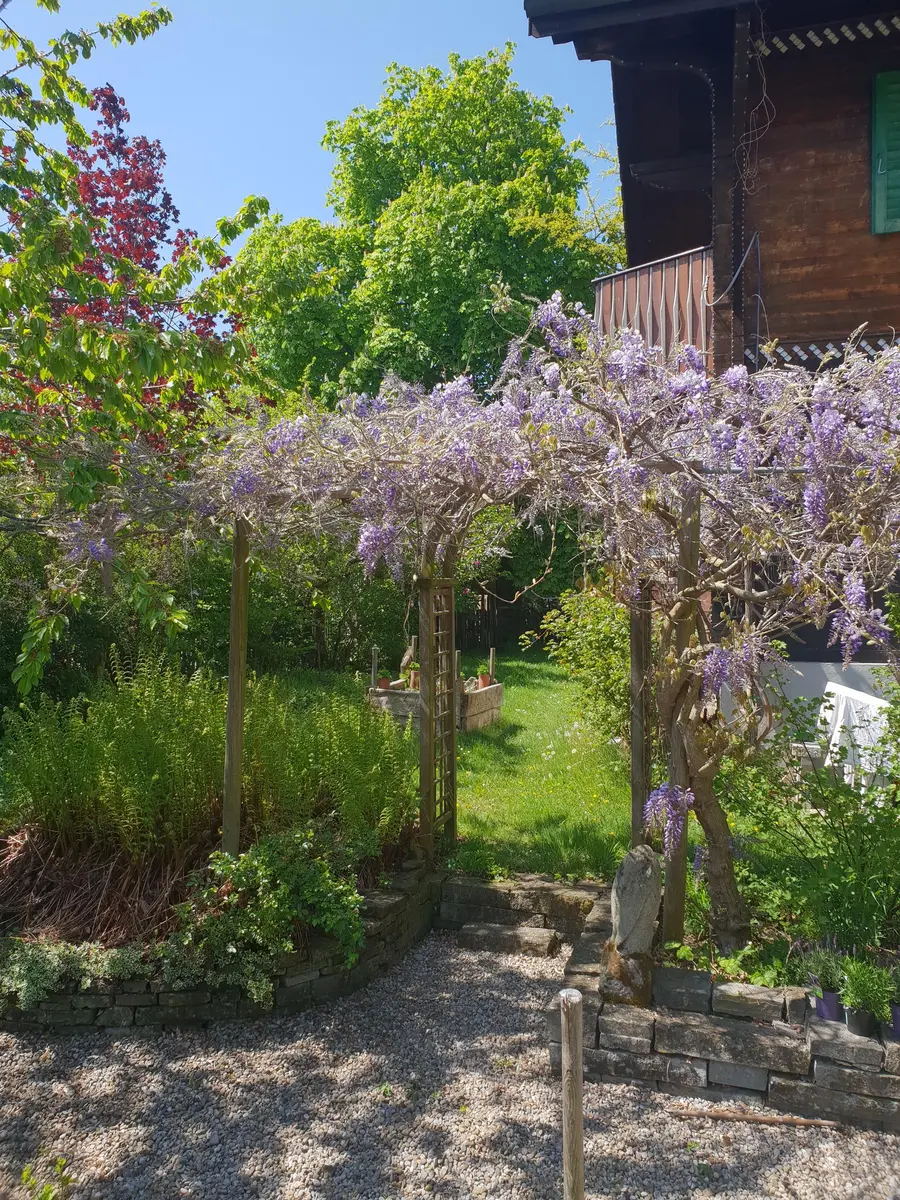 LocationRobot - Film Location Einfamilienhaus LR3080 (photo 49)