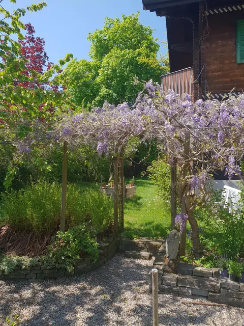 LocationRobot - Film Location Einfamilienhaus LR3080 (photo 49)