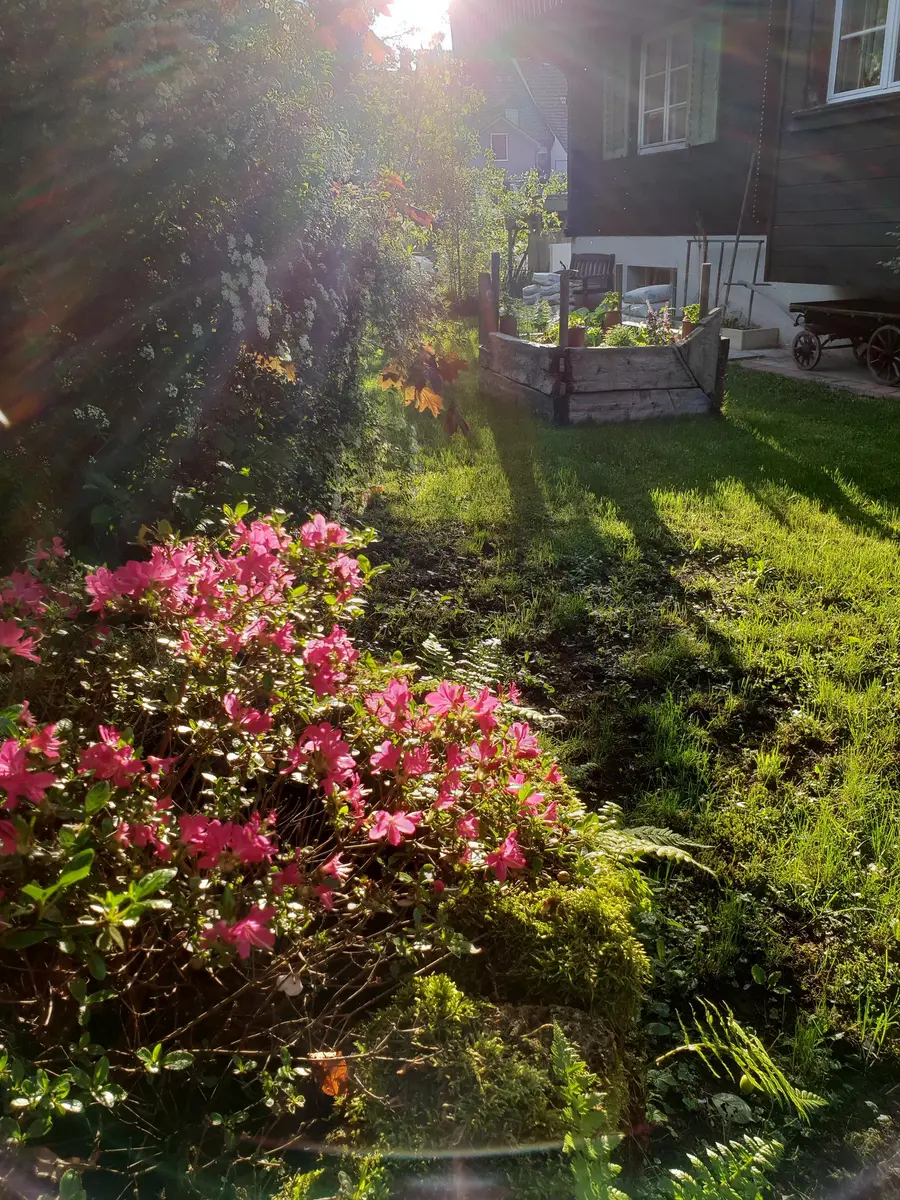 LocationRobot - Film Location Einfamilienhaus LR3080 (photo 70)