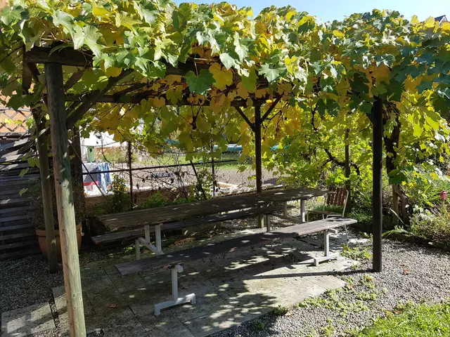 LocationRobot - Film Location Einfamilienhaus LR3080 (photo 22)