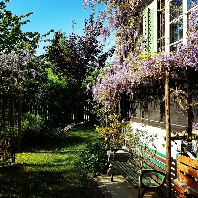 LocationRobot - Film Location Einfamilienhaus LR3080 (photo 34)