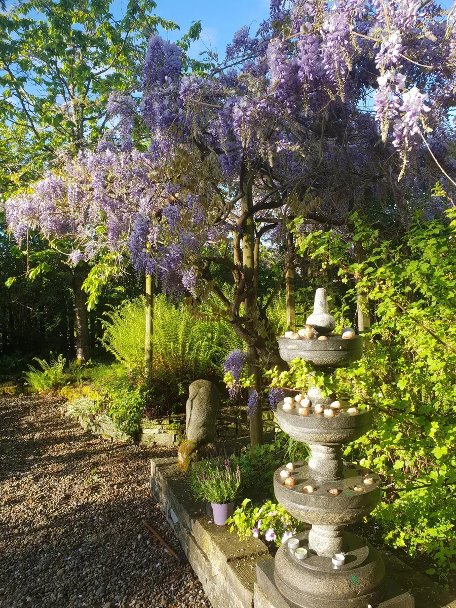 LocationRobot - Film Location Einfamilienhaus LR3080 (photo 50)