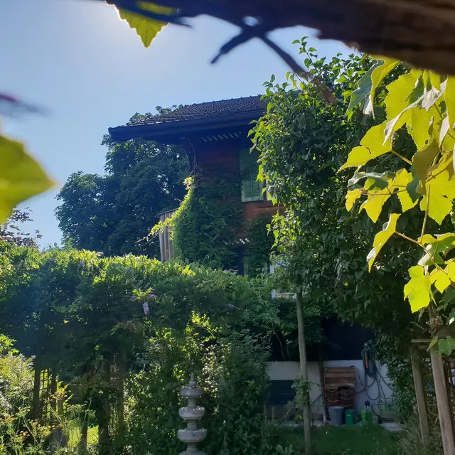 LocationRobot - Film Location Einfamilienhaus LR3080 (photo 20)