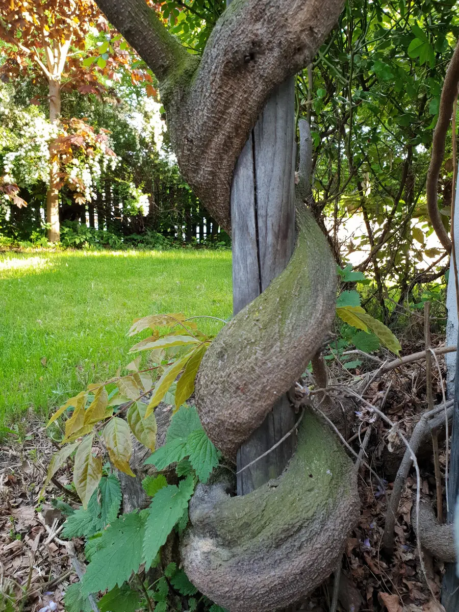 LocationRobot - Film Location Einfamilienhaus LR3080 (photo 65)