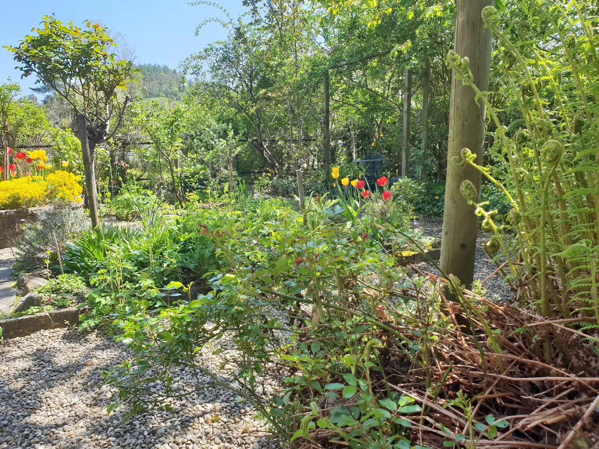 LocationRobot - Film Location Einfamilienhaus LR3080 (photo 52)