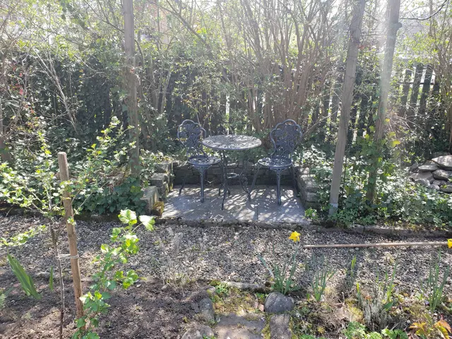 LocationRobot - Film Location Einfamilienhaus LR3080 (photo 46)