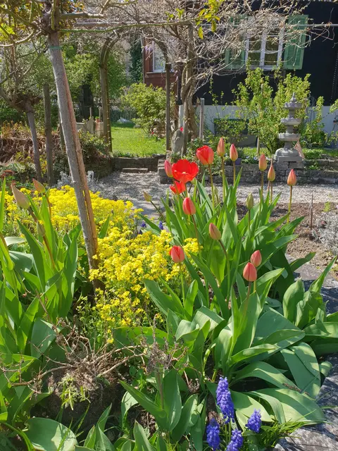 LocationRobot - Film Location Einfamilienhaus LR3080 (photo 60)