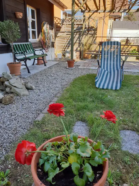 LocationRobot - Film Location Einfamilienhaus LR3080 (photo 53)