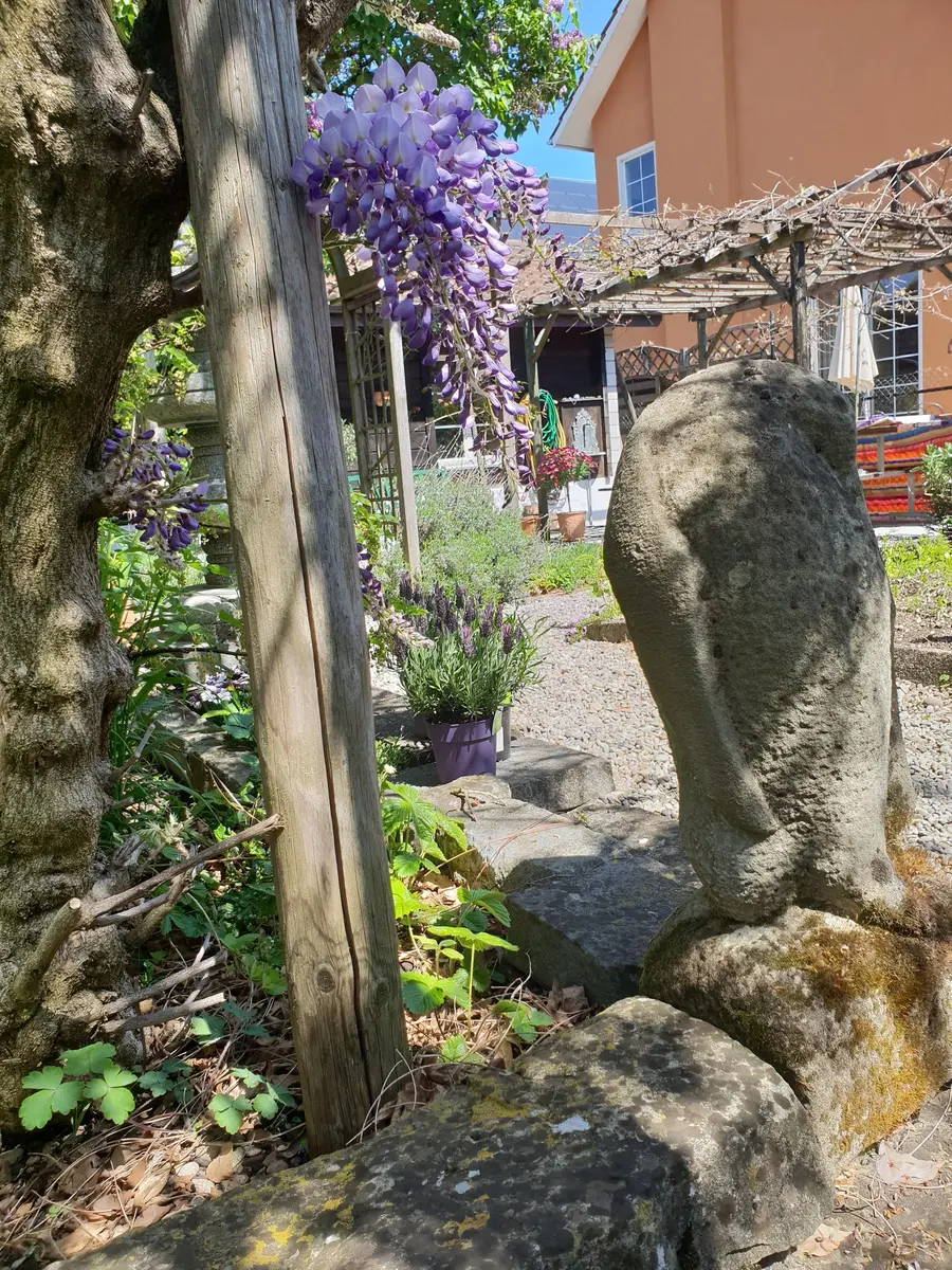 LocationRobot - Film Location Einfamilienhaus LR3080 (photo 63)