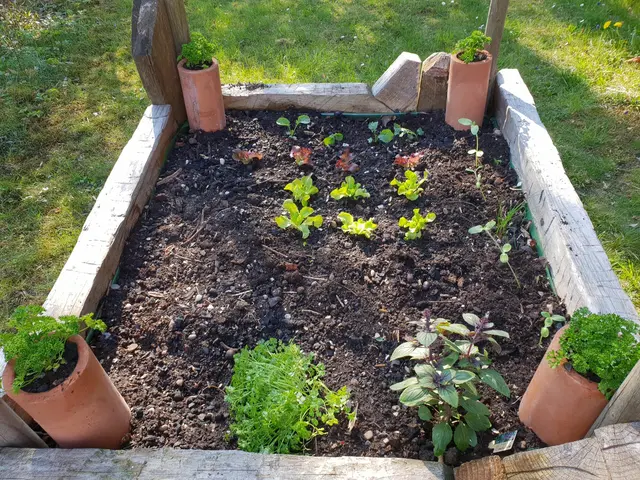 LocationRobot - Film Location Einfamilienhaus LR3080 (photo 59)