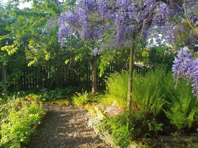 LocationRobot - Film Location Einfamilienhaus LR3080 (photo 48)