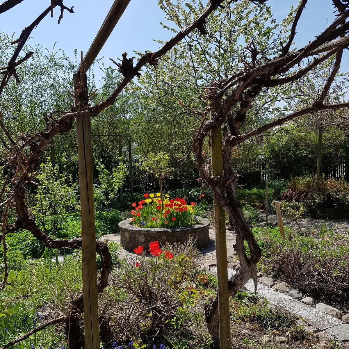 LocationRobot - Film Location Einfamilienhaus LR3080 (photo 55)