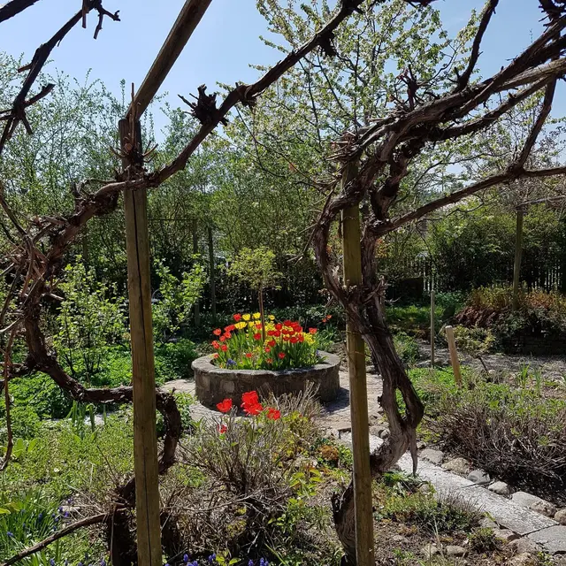 LocationRobot - Film Location Einfamilienhaus LR3080 (photo 55)