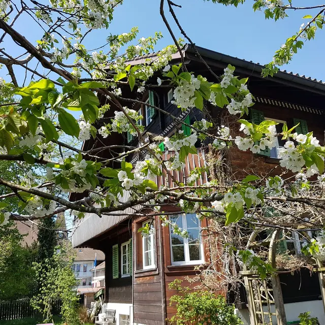 LocationRobot - Film Location Einfamilienhaus LR3080 (photo 4)