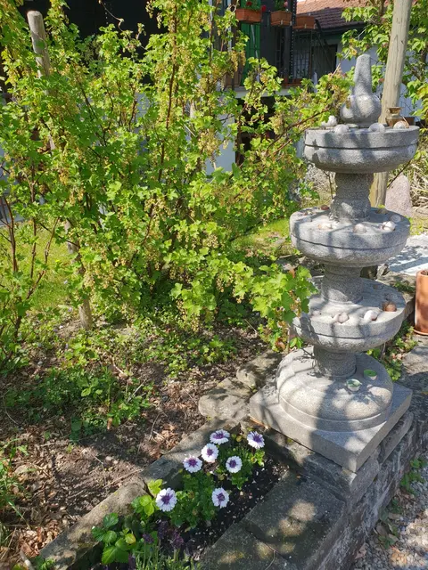 LocationRobot - Film Location Einfamilienhaus LR3080 (photo 69)