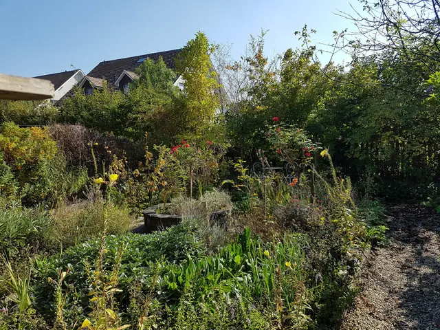 LocationRobot - Film Location Einfamilienhaus LR3080 (photo 26)