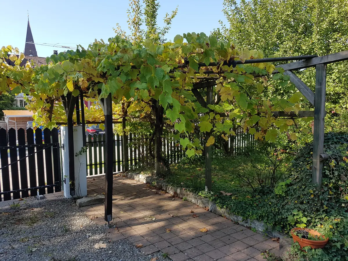 LocationRobot - Film Location Einfamilienhaus LR3080 (photo 13)