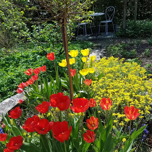 LocationRobot - Film Location Einfamilienhaus LR3080 (photo 71)