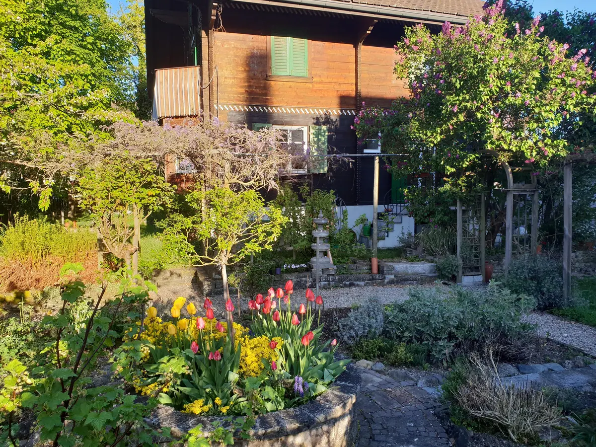 LocationRobot - Film Location Einfamilienhaus LR3080 (photo 38)