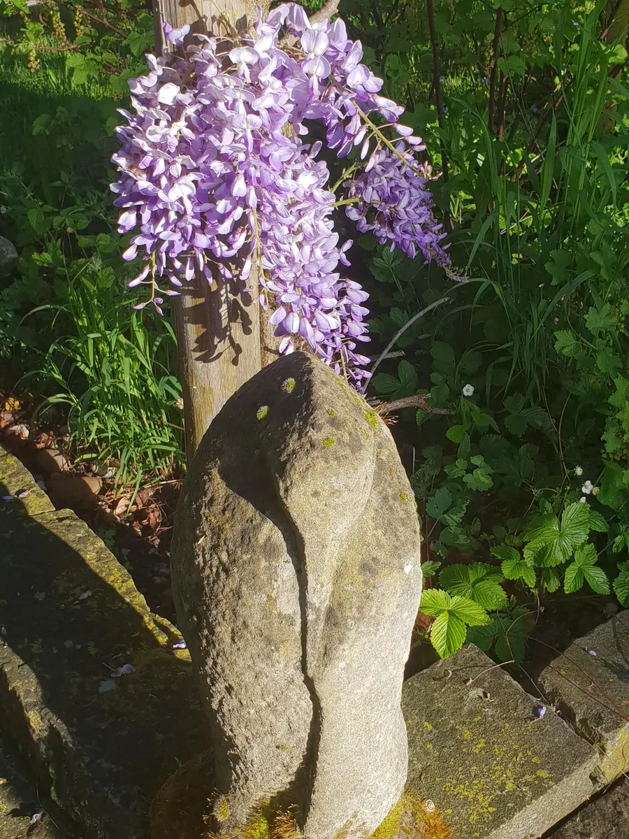 LocationRobot - Film Location Einfamilienhaus LR3080 (photo 62)