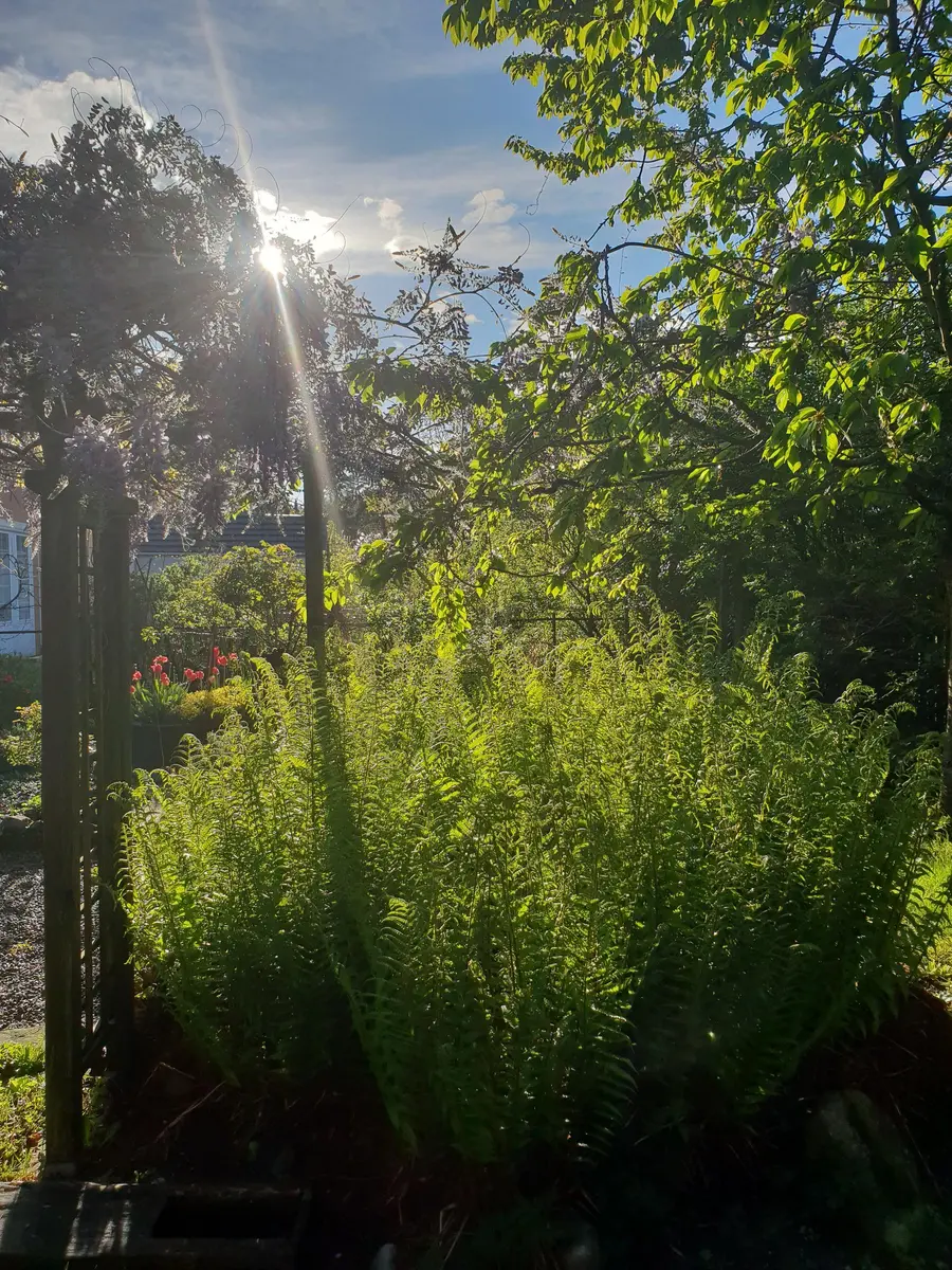 LocationRobot - Film Location Einfamilienhaus LR3080 (photo 51)