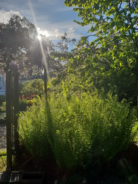 LocationRobot - Film Location Einfamilienhaus LR3080 (photo 51)