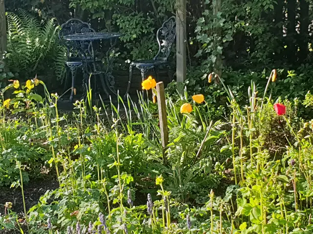 LocationRobot - Film Location Einfamilienhaus LR3080 (photo 61)