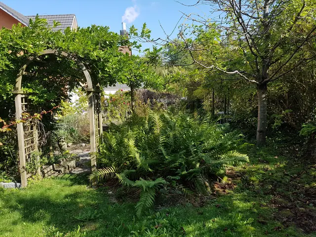 LocationRobot - Film Location Einfamilienhaus LR3080 (photo 21)