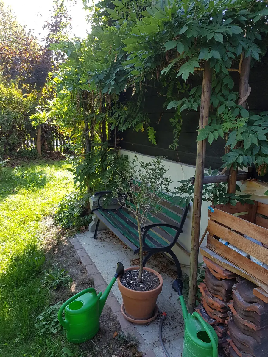 LocationRobot - Film Location Einfamilienhaus LR3080 (photo 33)