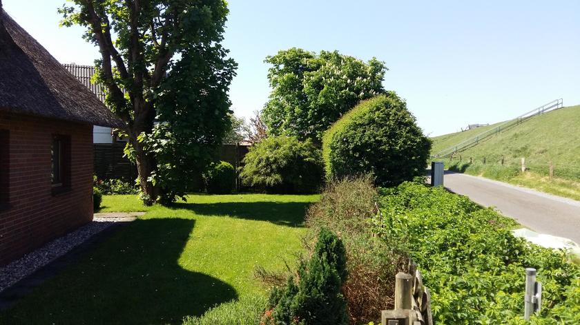 LocationRobot - Film Location Fischerhaus LR3128 (photo 2)