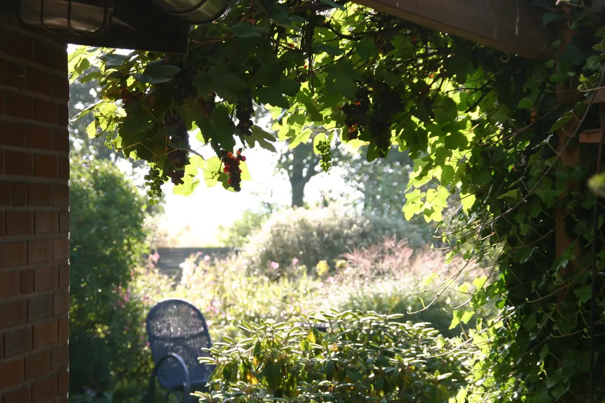 LocationRobot - Film Location Fischerhaus LR3128 (photo 20)