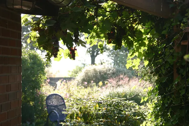 LocationRobot - Film Location Fischerhaus LR3128 (photo 20)