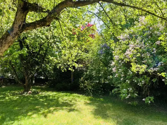 LocationRobot - Film Location Haus LR3178 (photo 24)