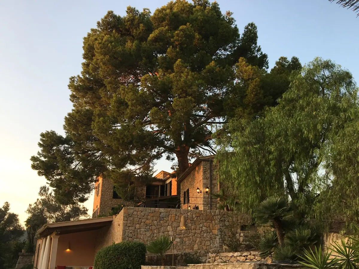 LocationRobot - Film Location Finca LR3180 (photo 12)