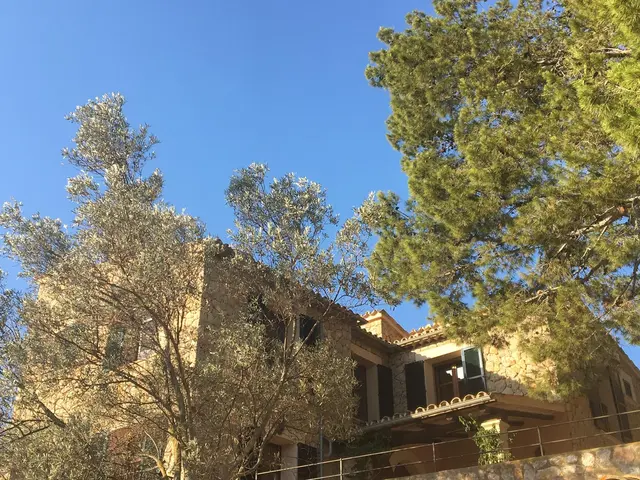 LocationRobot - Film Location Finca LR3180 (photo 14)