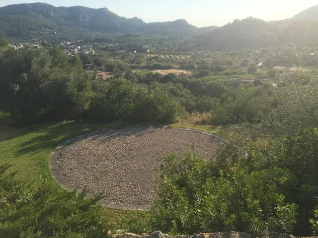 LocationRobot - Film Location Finca LR3180 (photo 16)