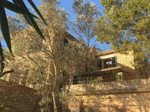 LocationRobot - Film Location Finca LR3180 (photo 13)