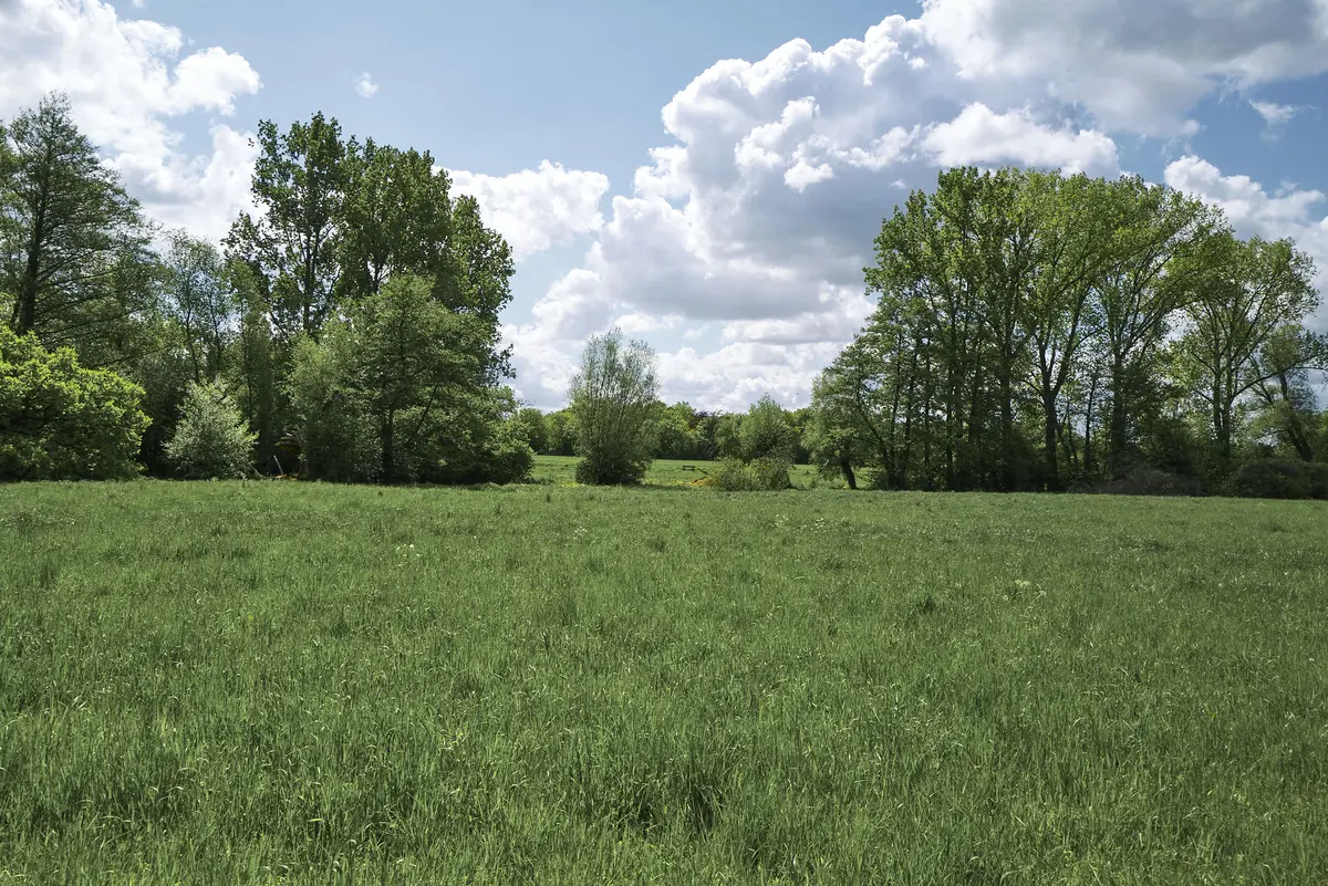 LocationRobot - Film Location Einfamilienhaus LR3195 (photo 33)